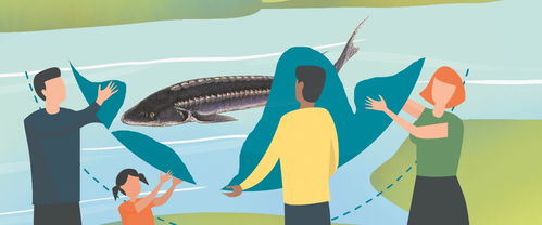 施工噪聲致中華鱘死亡 四家建設(shè)單位被起訴