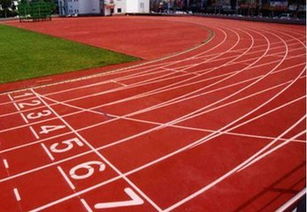 杭州奧伯公司 塑膠跑道建設(shè)工程施工的卓越領(lǐng)航者